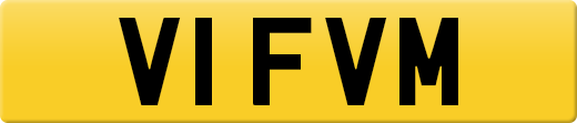 V1FVM