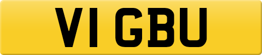 V1GBU