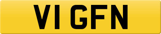 V1GFN