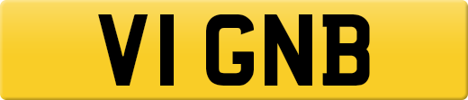 V1GNB