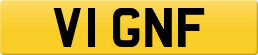 V1GNF