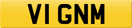 V1GNM