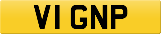 V1GNP
