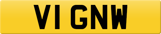 V1GNW