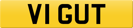 V1GUT
