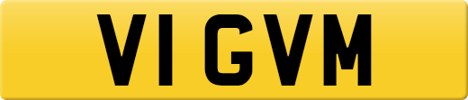 V1GVM