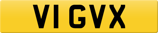 V1GVX