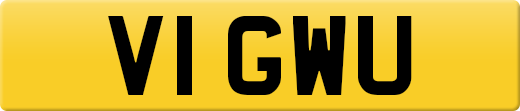V1GWU