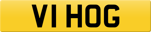 V1HOG