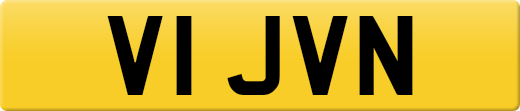 V1JVN