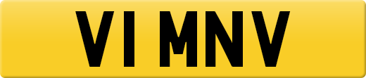 V1MNV