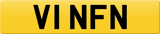 V1NFN