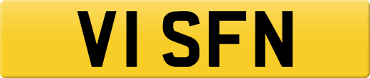 V1SFN