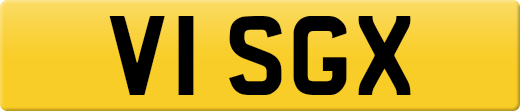 V1SGX