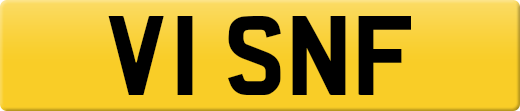V1SNF
