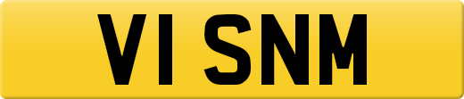 V1SNM