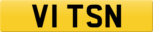 V1TSN