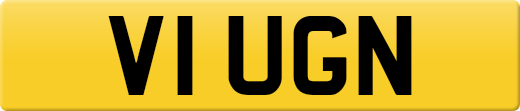 V1UGN