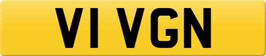 V1VGN