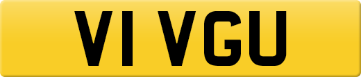 V1VGU