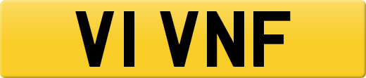 V1VNF