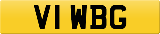 V1WBG