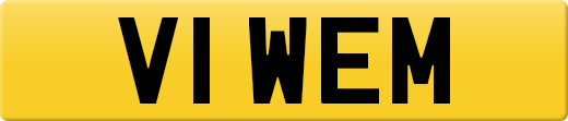 V1WEM