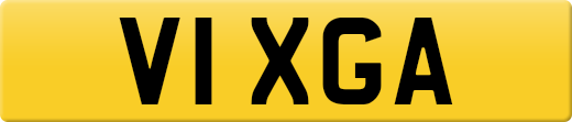 V1XGA