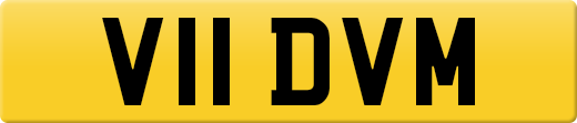 V11DVM