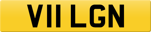 V11LGN