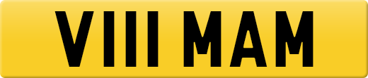 V111MAM