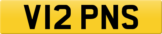 V12PNS
