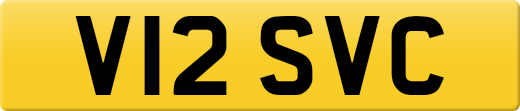 V12SVC