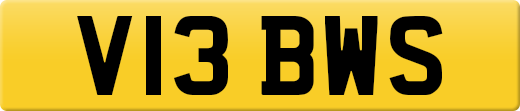 V13BWS