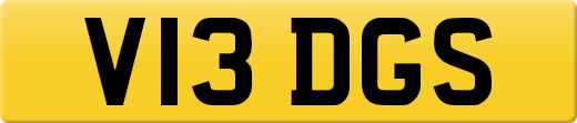 V13DGS
