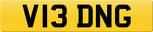 V13DNG