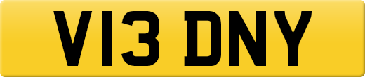 V13DNY