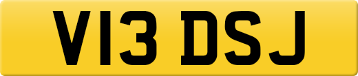 V13DSJ