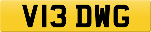 V13DWG