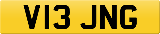 V13JNG