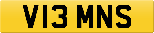 V13MNS