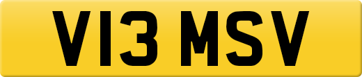 V13MSV