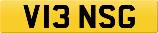 V13NSG
