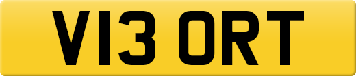 V13ORT