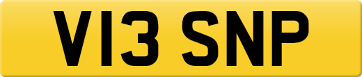 V13SNP