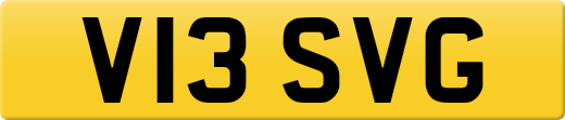 V13SVG