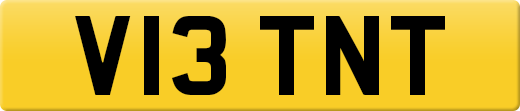 V13TNT