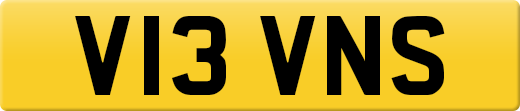V13VNS