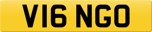 V16NGO