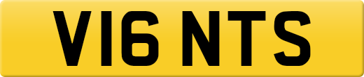 V16NTS